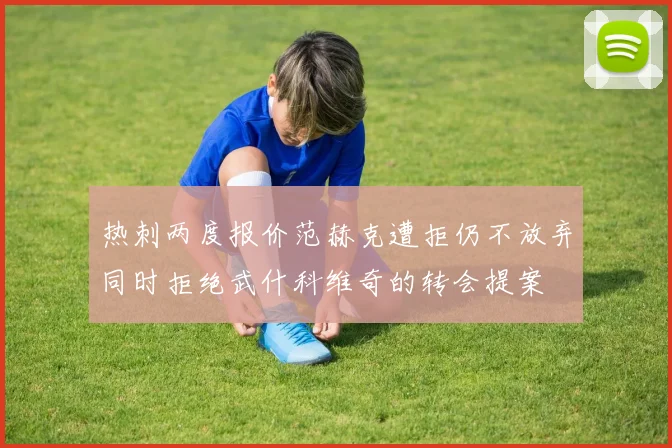 热刺两度报价范赫克遭拒仍不放弃同时拒绝武什科维奇的转会提案