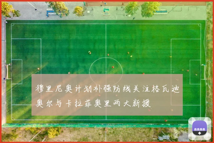 穆里尼奥计划补强防线关注格瓦迪奥尔与卡拉菲奥里两大新援